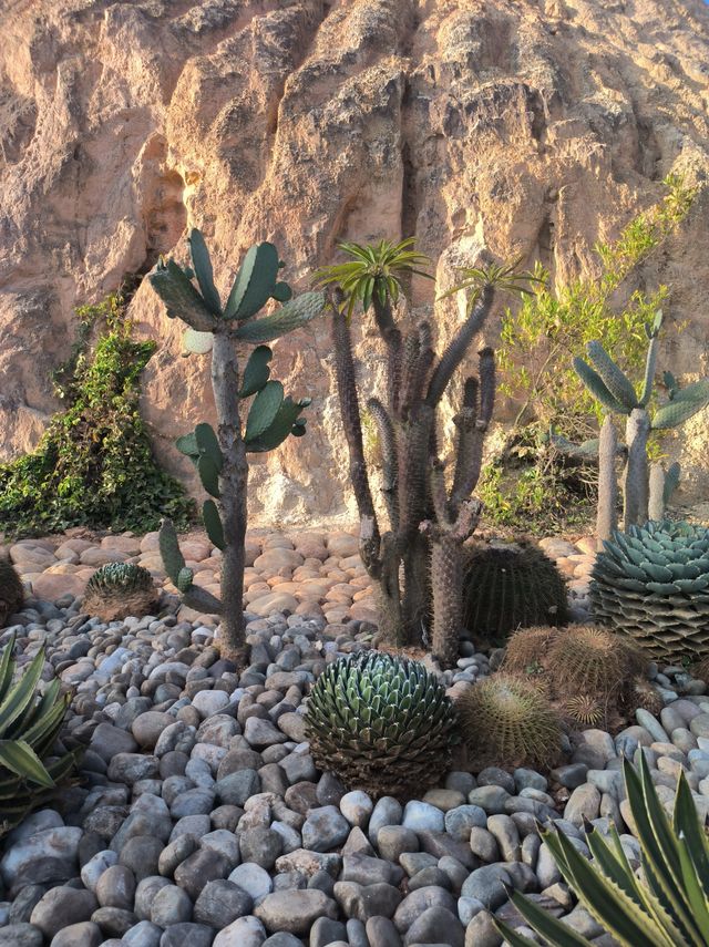 建水五龍湖四重奏 建水五龍湖四重奏