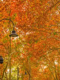 12.3的東湖殺瘋了!分享一條油畫感騎行路線