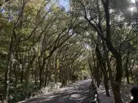 普陀山一日遊實測 普通週末巨大客流