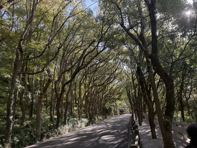 普陀山一日遊實測 普通週末巨大客流 普陀山一日遊實測 普通週末巨大客流