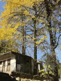 梵淨山下的非遺小城…小眾到連本地人都私藏