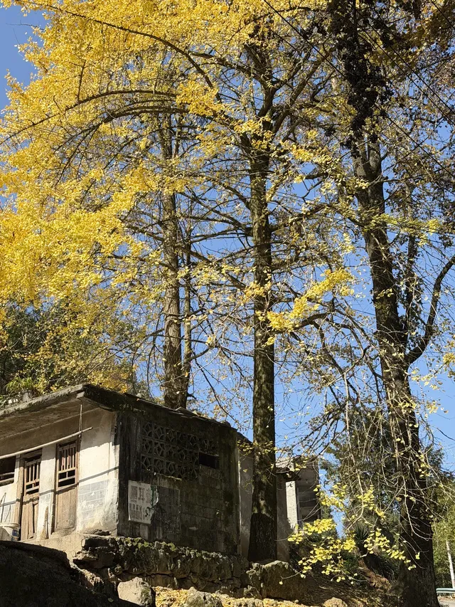 梵淨山下的非遺小城…小眾到連本地人都私藏