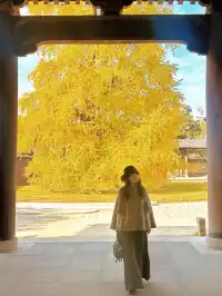 12月！預計會有10萬人來這裡…