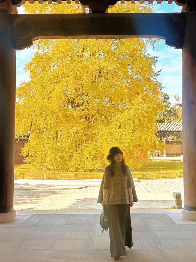 12月！預計會有10萬人來這裡…