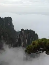 蕪湖黃山四日遊