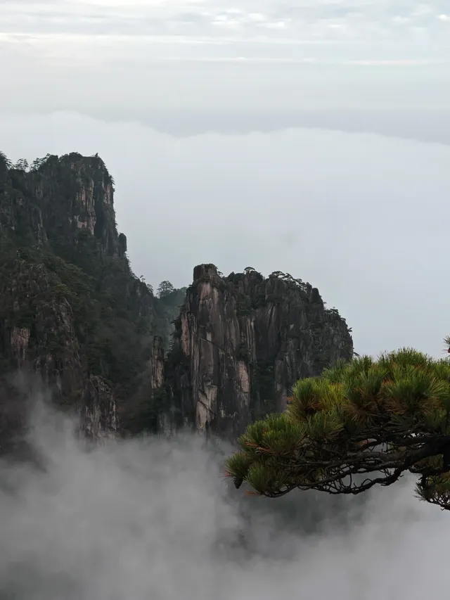 蕪湖黃山四日遊 蕪湖黃山四日遊