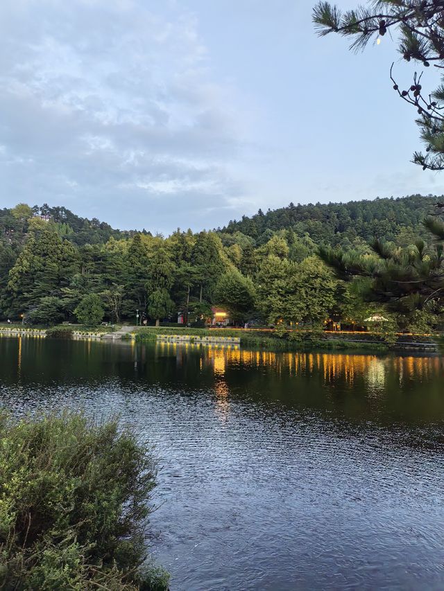 蘆林湖的靜美 蘆林湖的靜美