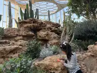 三生三世｜上海溫室花園 人少篇