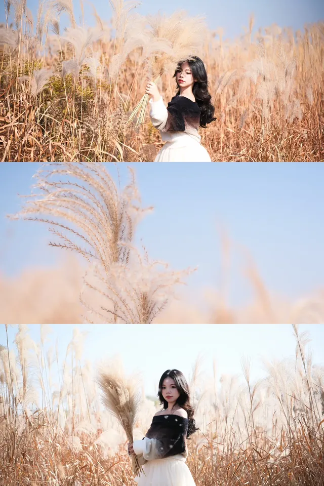 宜興｜城東梅林蘆葦蕩