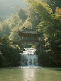 鼎湖山冬日親子遊！1.5h直達吸氧賞雪～