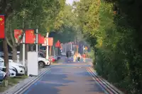 藏在金山!山陽田園的慢時光太好宅了