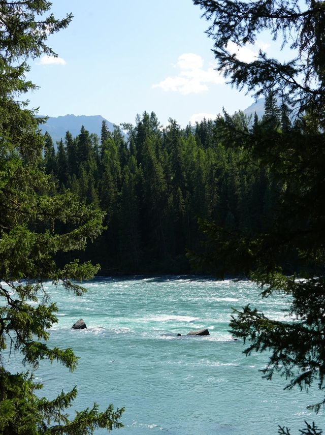 喀納斯冬季必打卡 喀納斯冬季必打卡