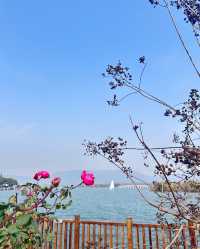 尚湖秋日醉美秘境