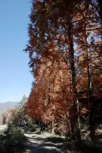 第三次暴走村!宏村塔川徒步太絕了