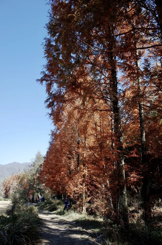 第三次暴走村!宏村塔川徒步太絕了 第三次暴走村!宏村塔川徒步太絕了