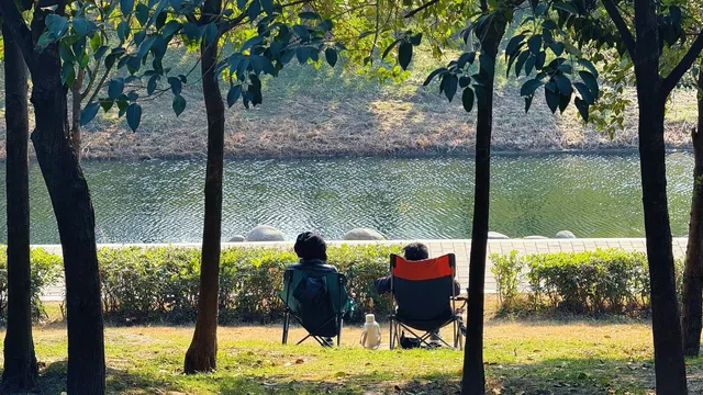 西安高新小森林 西安高新小森林