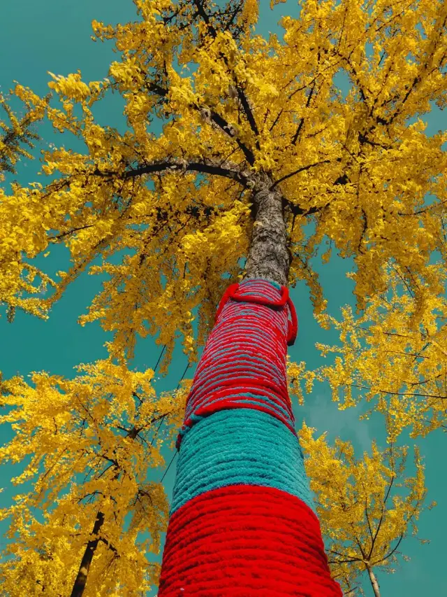 成都的審美還是太超前了！！