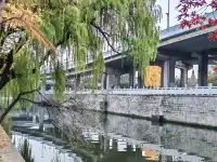 滿城盡飛黃金葉，紹興古城河清園秋色正迷人