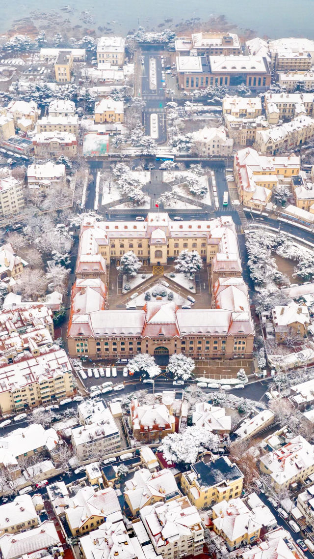 12.13下雪的青島瘋了