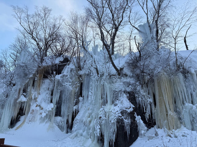 冬日長白山|冰雪神話實錄!天池如鏡,霧淞漫野 冬日長白山|冰雪神話實錄!天池如鏡,霧淞漫野