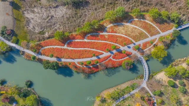 不用去皖南!溫嶺市區藏了個「秋日童話」 不用去皖南!溫嶺市區藏了個「秋日童話」