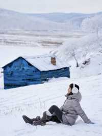 用18張Live打開呼倫貝爾的冬天!封神了!