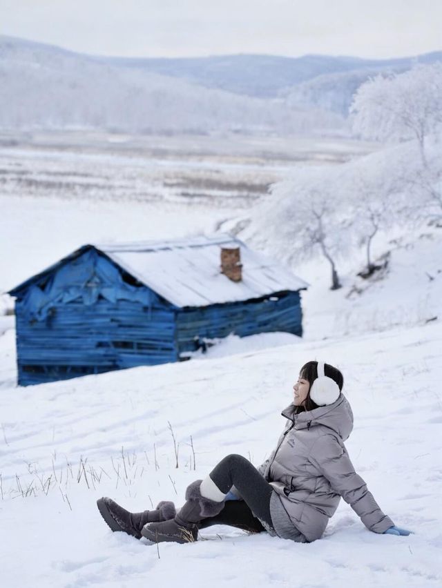 用18張Live打開呼倫貝爾的冬天!封神了! 用18張Live打開呼倫貝爾的冬天!封神了!