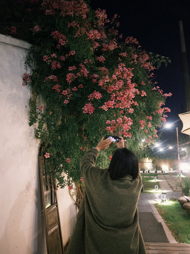 烏鎮西柵景區旁的民宿 自帶度假感 太美啦 烏鎮西柵景區旁的民宿 自帶度假感 太美啦