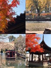 上海水下5000年｜廣富林紅楓，染透千年秋韻