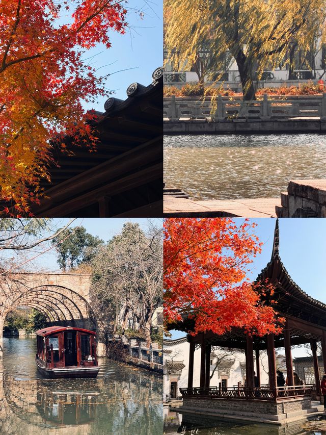 上海水下5000年｜廣富林紅楓，染透千年秋韻