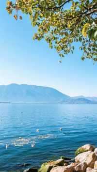 雲南,一生總要去一次!超全旅行攻略請查收!