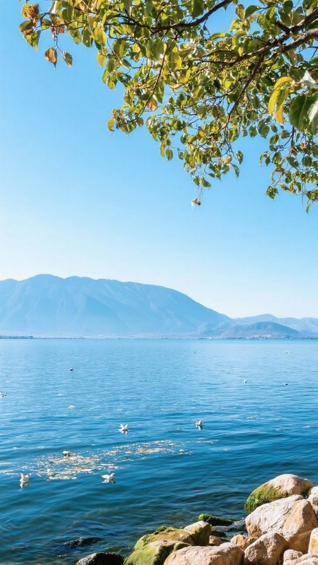 雲南,一生總要去一次!超全旅行攻略請查收! 雲南,一生總要去一次!超全旅行攻略請查收!