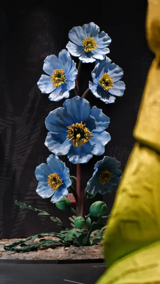 寧波から1時間直行！杭州湾の秋の童話の中の「家」に泊まろう