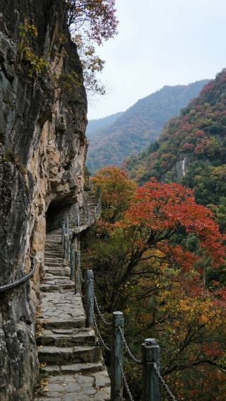 "Hanzhong—Repair the plank road by day, secretly cross Chen Cang by night, is the true footprint on the earth"