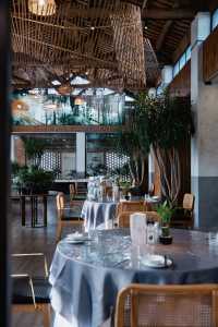 成都周邊1h冬日泡湯+麥田下午茶🫖