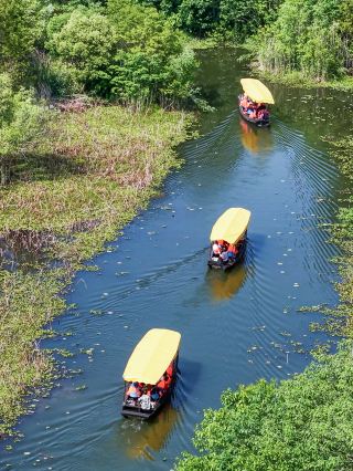 人混みを避けて！洪湖の湖心島へ、束の間の安らぎを盗もう