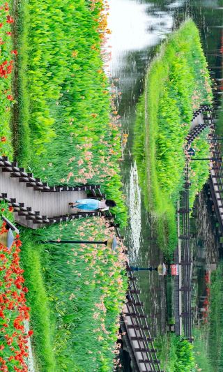 6月の必訪スポット！松雅湖の絵画のような花海が絶景で登場～