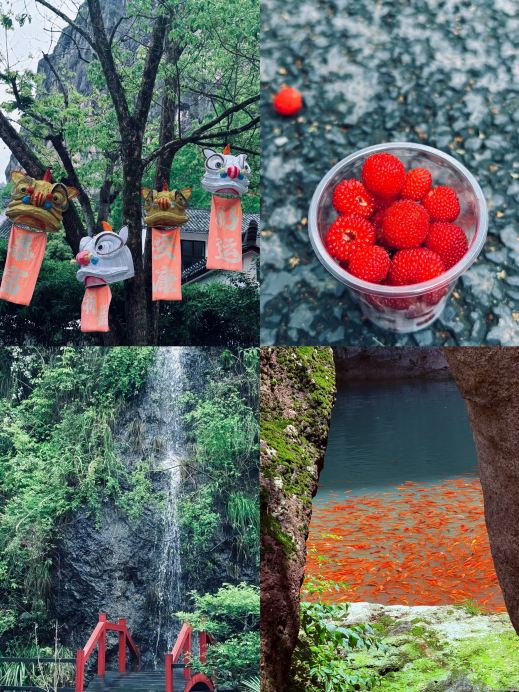 浙江の0元マイナー秘境｜この天然洞窟は想像の百倍感動的 | Trip.com 永嘉