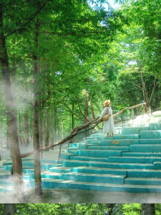 New lazy drifting experience in Anji! Rent out an entire bald cypress forest Ø