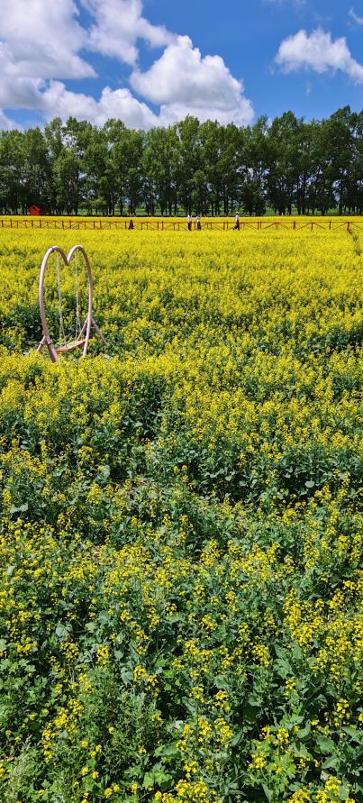Beautiful Xinjiang] A must-visit in northern Xinjiang! This