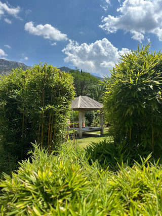 An Idyllic, Relaxing Stay in Soller