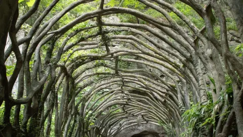 Hongyan Wonderland | The Underground Karst Caves Are Absolutely Amazing — traveler post in Leping