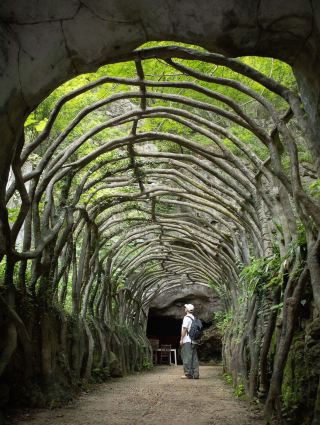 Hongyan Wonderland | The Underground Karst Caves Are Absolutely Amazing