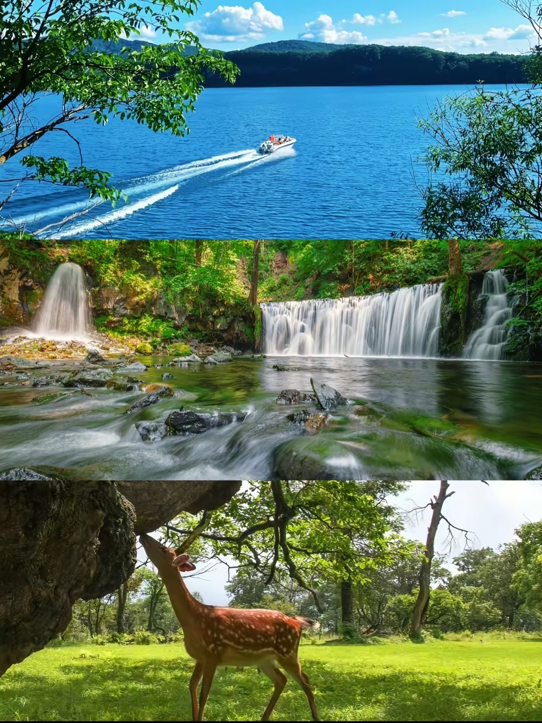 Visit the Longwan Group volcanic lakes in Tonghua this September for early autumn, and step into a natural forest sanctuary in Northeast China