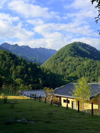 瀋陽から秦嶺へ、私は自分を秦嶺の山の中に放り込んだ