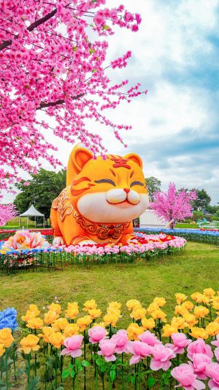 It's here! This year's Mid-Autumn Festival in Chengdu, a grand "trailer"