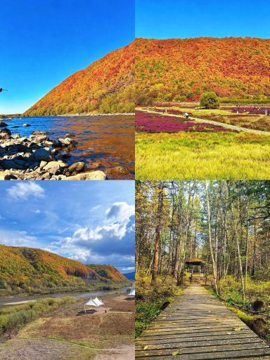 I've just returned from Yichun, and I really don't recommend going in October–November, because it's just too...