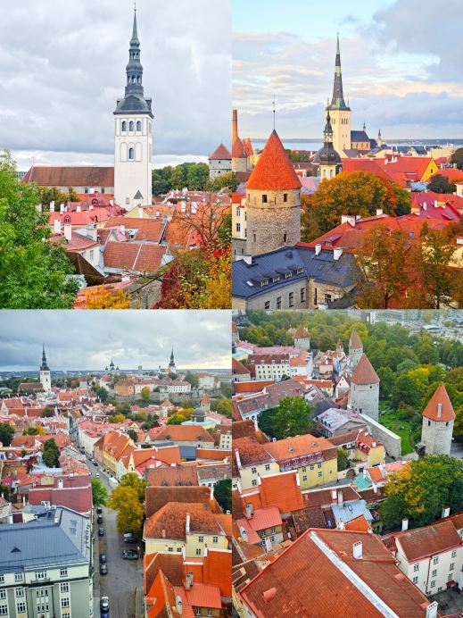 Giving up on Estonia—this place is too good!