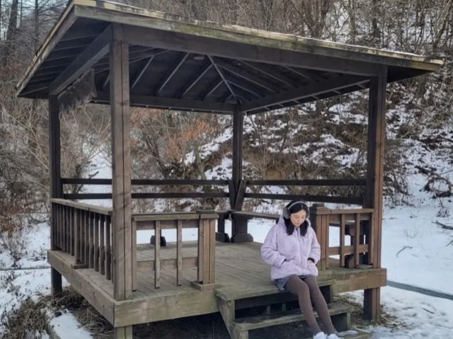 강원도 평창 깊은 해발 780m 눈보며 하는 글램핑