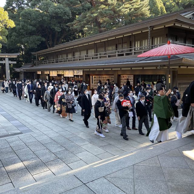 東京最有人氣的宗教勝地 ─明治神宮